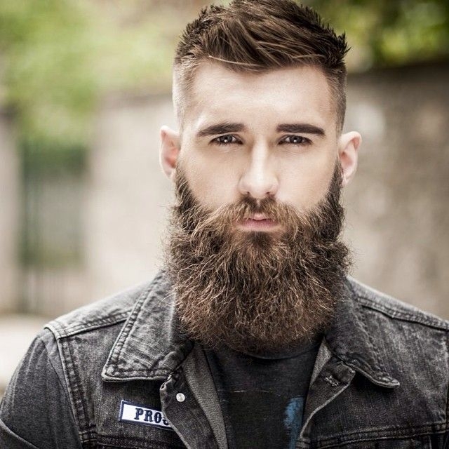 Красиво отрощенная борода
